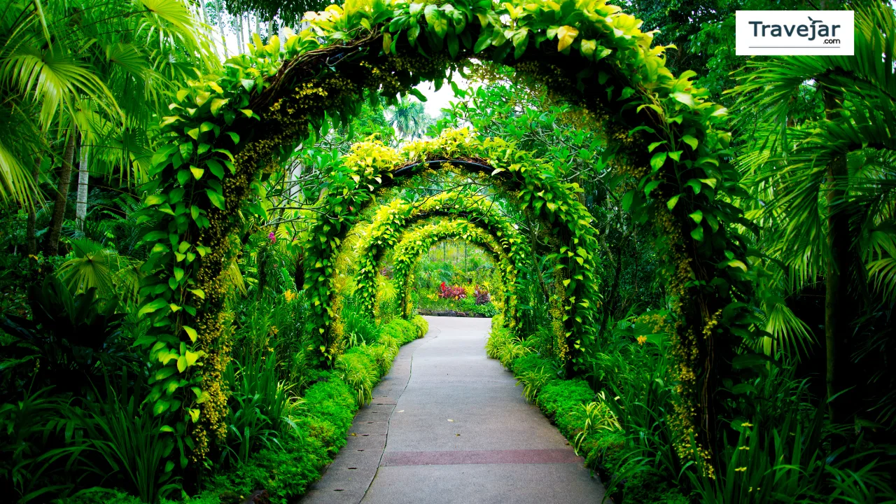 Singapore Botanic Gardens